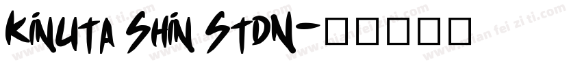 Kinuta Shin StdN字体转换